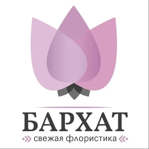 Цветочный салон Бархат