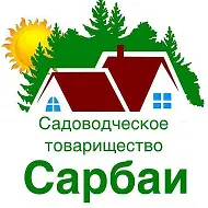 Сарбаи НСТ