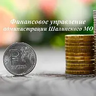 Финансовое управление администрации Шалинского МО