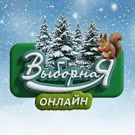 Выборная oнлайн (Новосибирск)