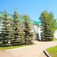 Чекмагушевский ИКЦ