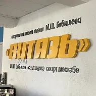 Витязь рабочий чат