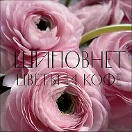 ШИПОВНЕТ «Цветы и кофе» Краснодар