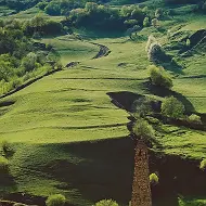 ГКУ ОТ и СР Веденского района