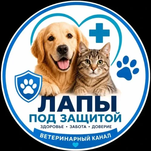 vet_bot