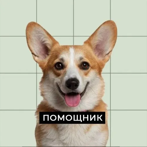 Бот помощник Ольги Ивановой