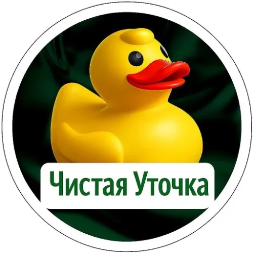 Чистая Уточка