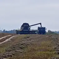 Управление сельского хозяйства адм. Вачского муниц.округа