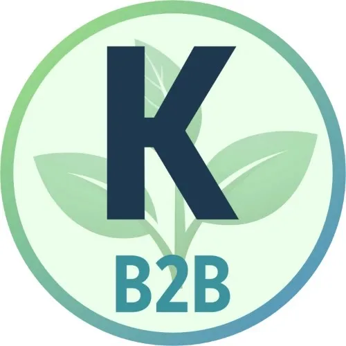 Коннектор-B2B