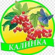 ГБУ ДОО ЗО "Кировский детский сад "Калинка" Токмакского района