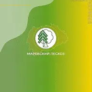 НОАУ Маревский лесхоз