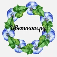 Цветочки.ру