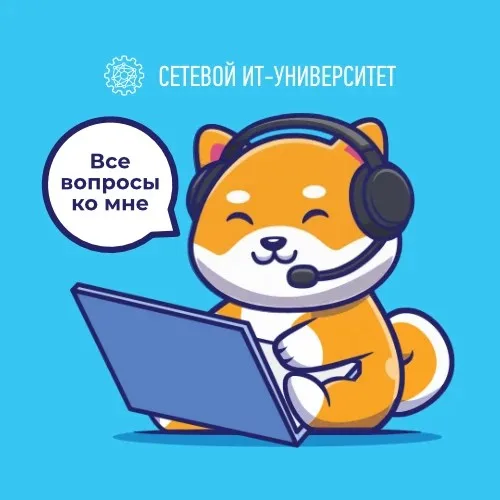 Пермский сетевой ИТ-университет