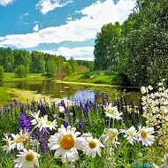 Отрадненский сельсовет