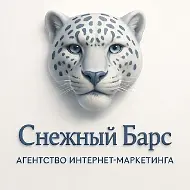 Сайты, Контекст, SMM | Снежный Барс | SnowBars