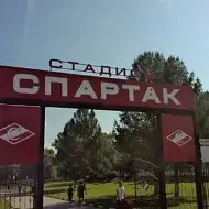 МАУ ДО "Спортивная школа"Спартак "