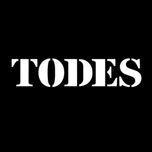 bot_поддержка_todes
