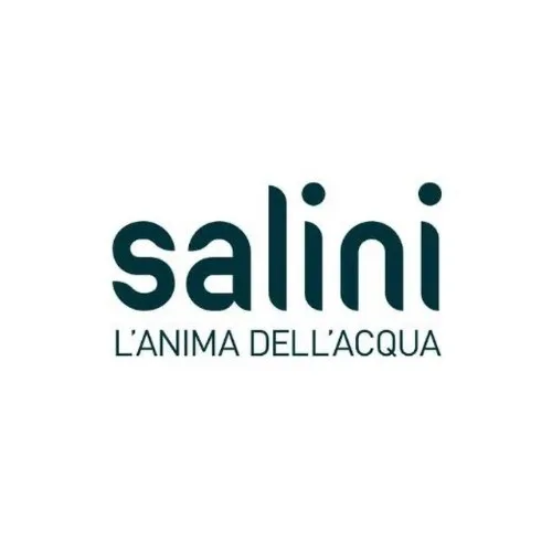 Менеджер Salini