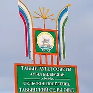 АСП ТАБЫНСКИЙ СЕЛЬСОВЕТ