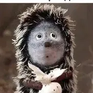 Психология на каждый день