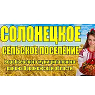 Администрация Солонецкого сельского поселения Воробьёвского муниципального района Воронежской области