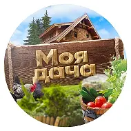 Лучшие рецепты